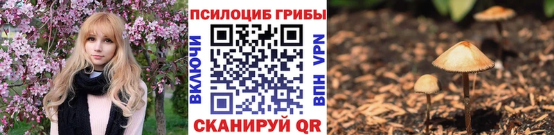Псилоцибиновые грибы прущие грибы  купить закладку  Сергач 